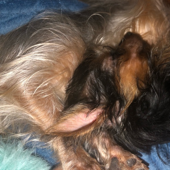 Meet your Posher, Vickie Jean - Picture 8 of 8